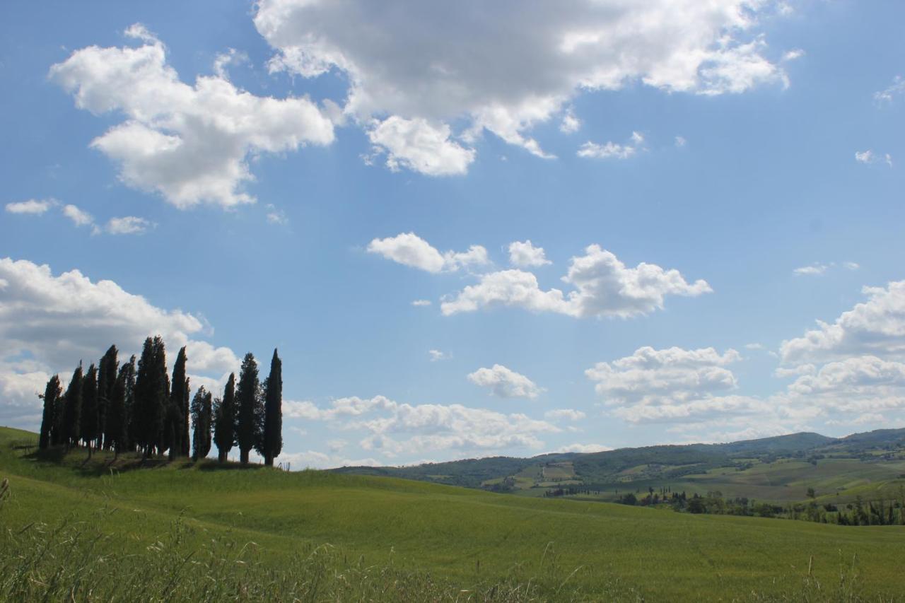 La Casina Di Nonna Lola Villa Castiglione d'Orcia Exterior photo